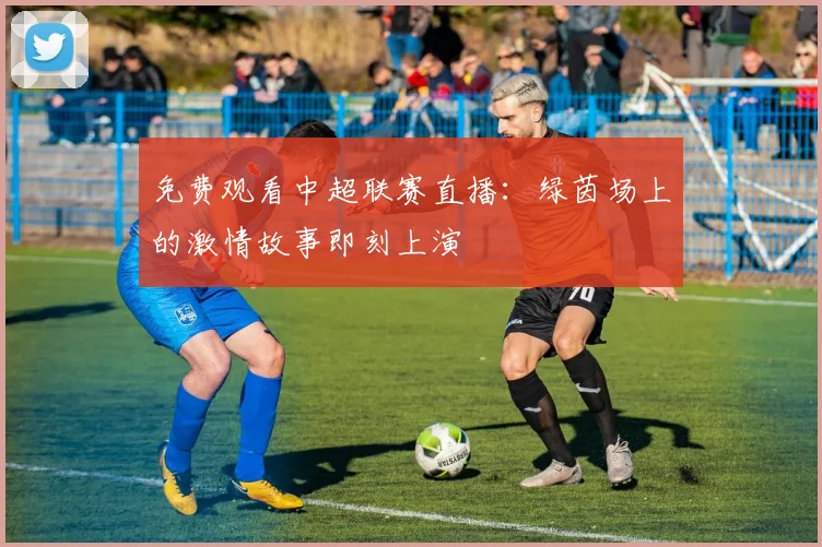 免费观看中超联赛直播:绿茵场上的激情故事即刻上演