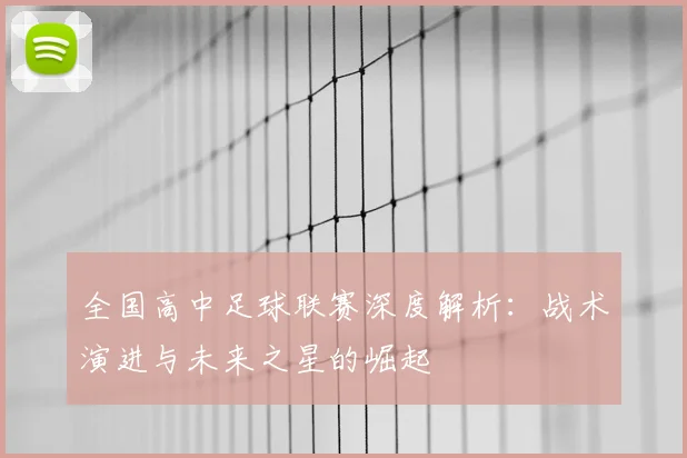 全国高中足球联赛深度解析：战术演进与未来之星的崛起